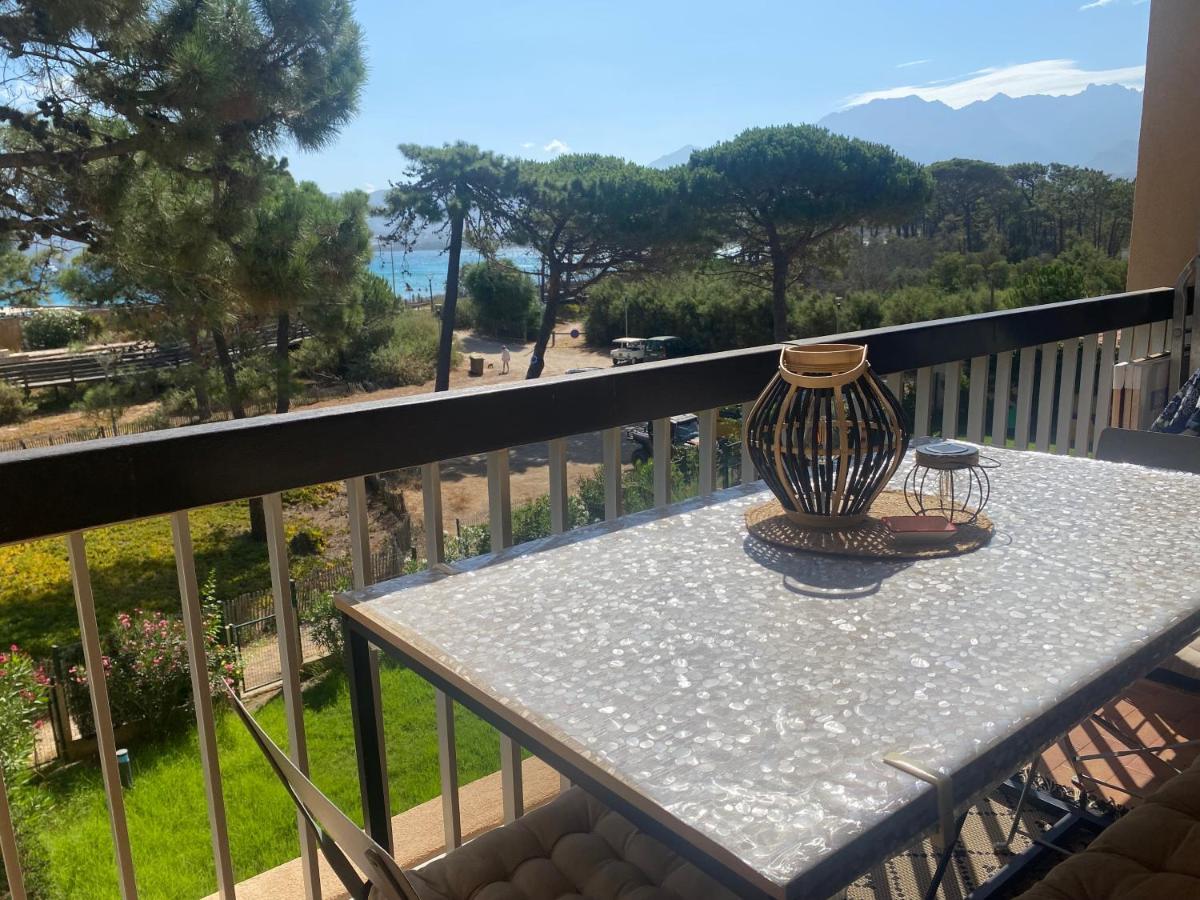 Appartement Ou Studio La Mer & La Plage A Vos Pieds Calvi Exterior foto